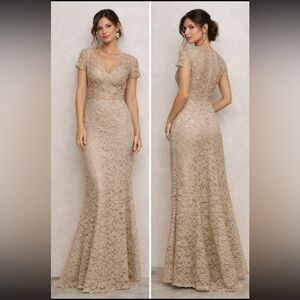 JS Collections Champagne Lace V-Neck Maxi Gown